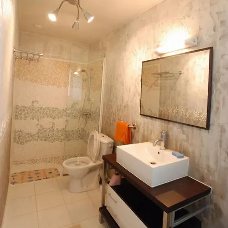 Le Coin Des Hortensias La Puye