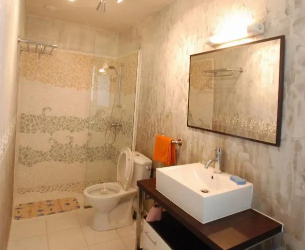 Le Coin Des Hortensias La Puye